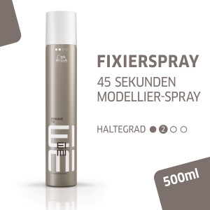Dynamic Fix 45 Sec. Modellier Spray 500ml